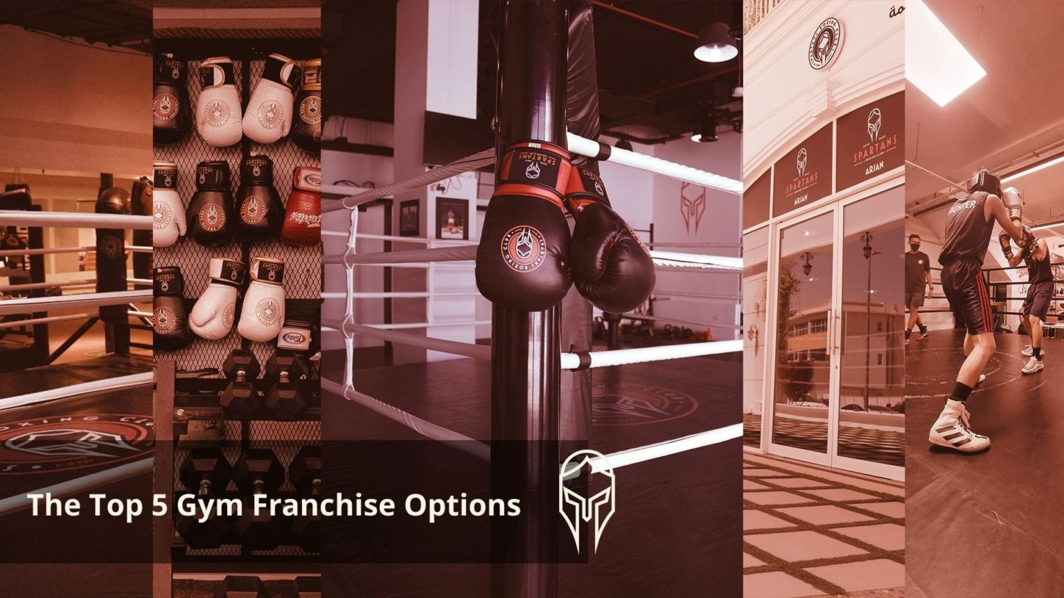 The Top 5 Gym Franchise Options Spartans Boxing Club
