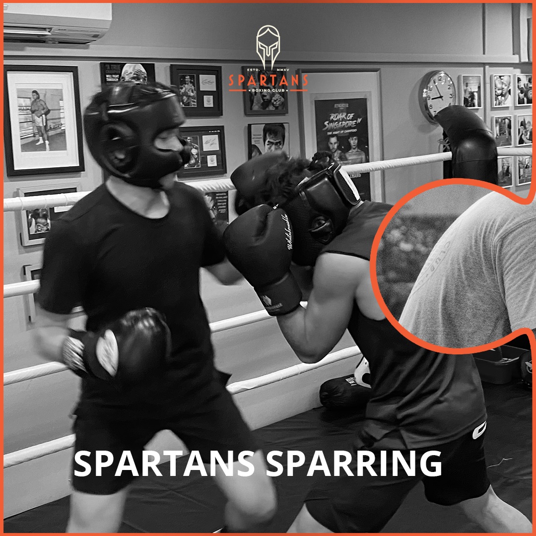 spartans sparring