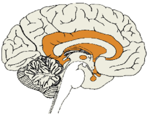 energy mind